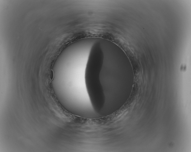 X0000091681009200709061059
