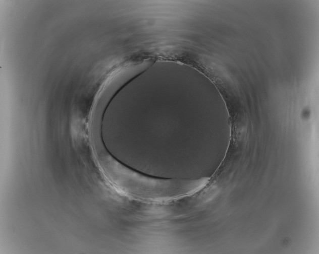 X0000091681010200709061059