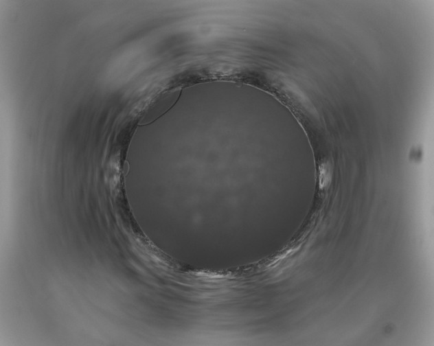 X0000091681011200709061059