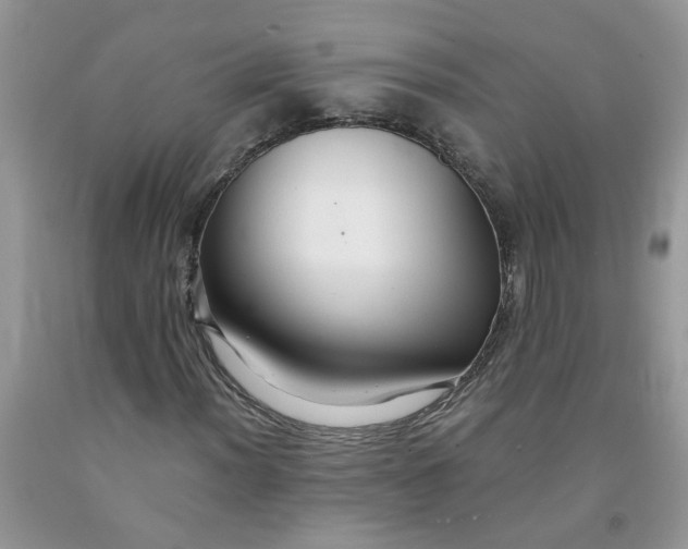 X0000091681012200709061059