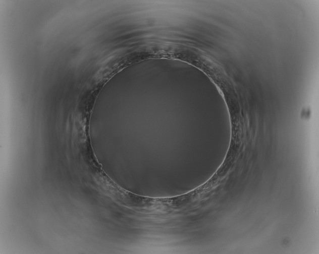 X0000091681013200709061059