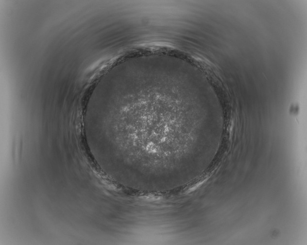 X0000091681014200709061059
