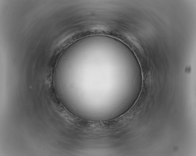 X0000091681015200709061059