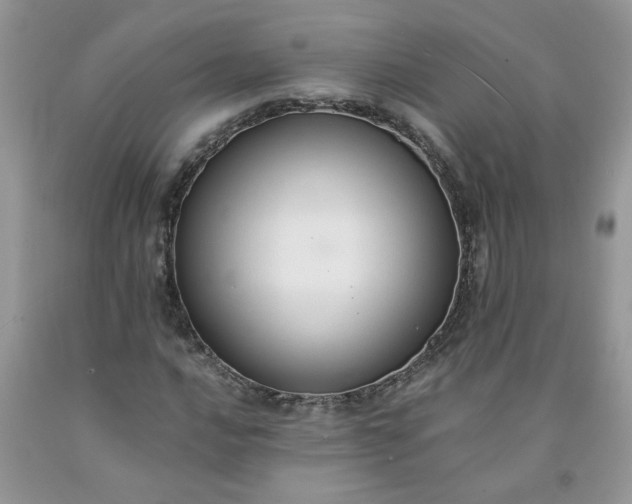 X0000091681016200709061059