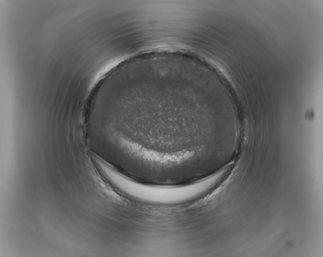 X0000091681018200709061059