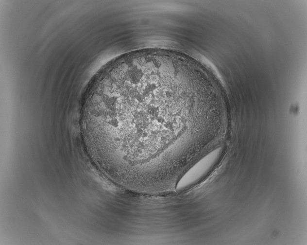 X0000091681019200709061059