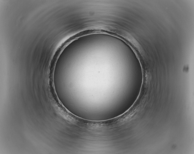 X0000091681020200709061059