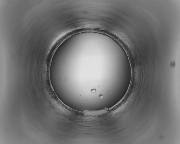 X0000091681021200709061059