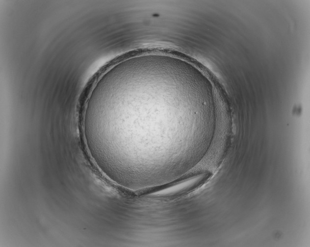 X0000091681022200709061059