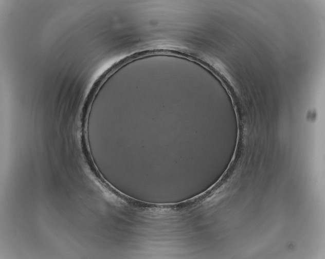X0000091681024200709061059