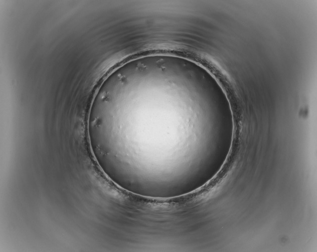 X0000091681025200709061059