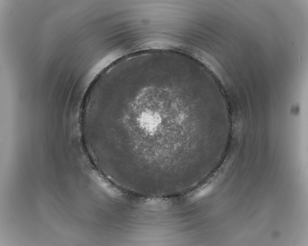 X0000091681026200709061059