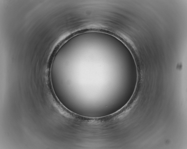 X0000091681029200709061059