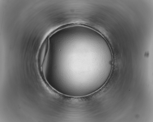 X0000091681032200709061059