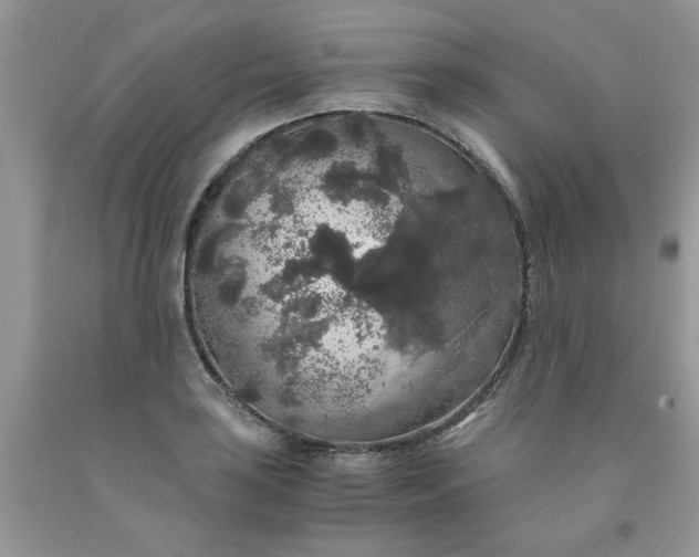 X0000091681035200709061059