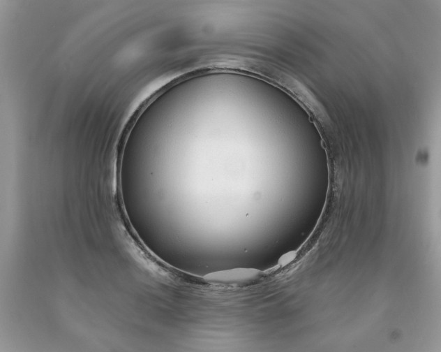 X0000091681036200709061059
