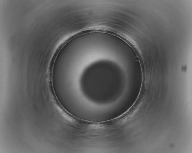 X0000091681037200709061059