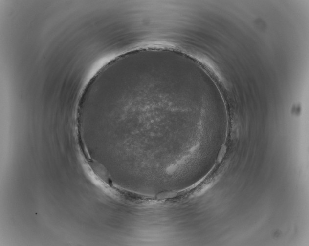 X0000091681038200709061059