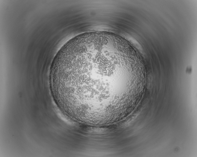X0000091681039200709061059