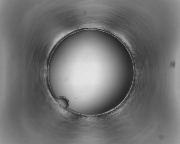 X0000091681040200709061100