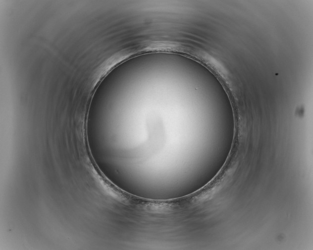 X0000091681041200709061100
