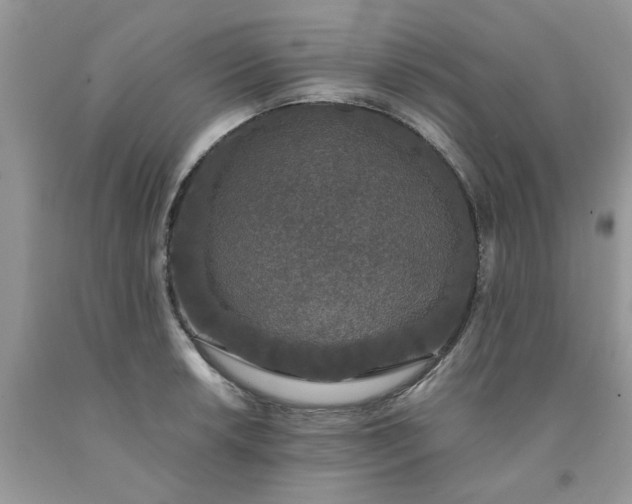 X0000091681042200709061100