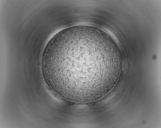 X0000091681043200709061100