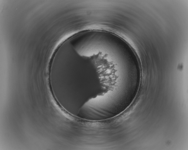 X0000091681045200709061100