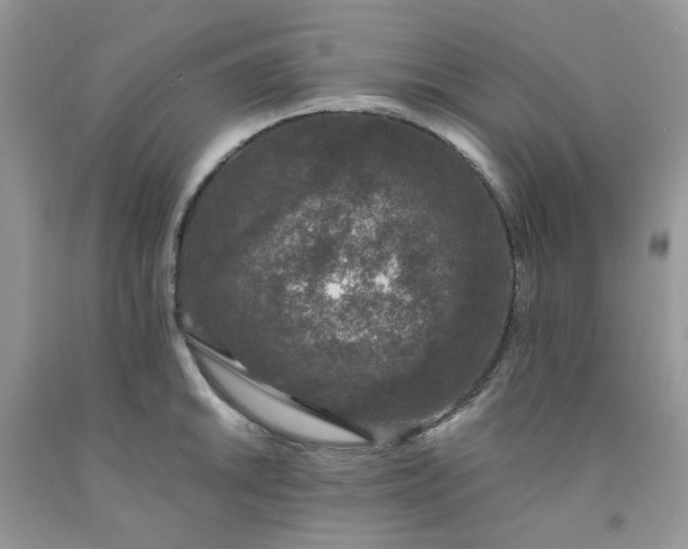 X0000091681046200709061100