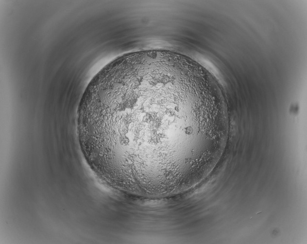 X0000091681047200709061100