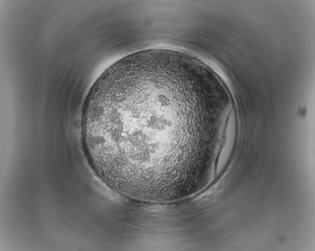 X0000091681048200709061100