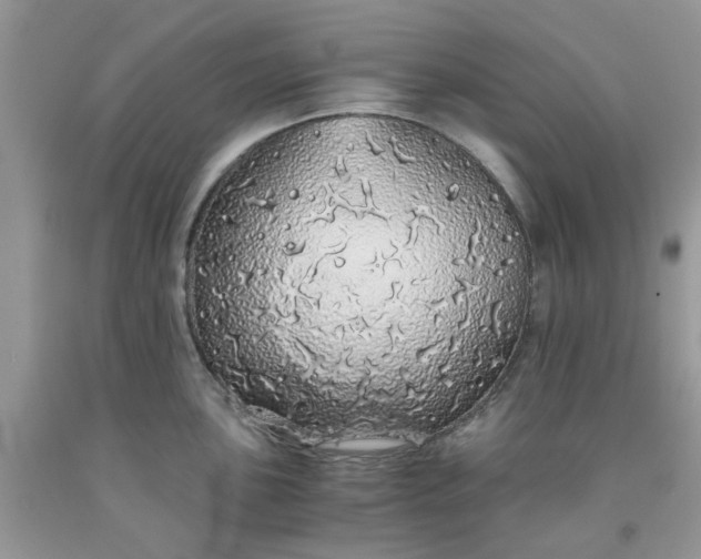 X0000091681051200709061100
