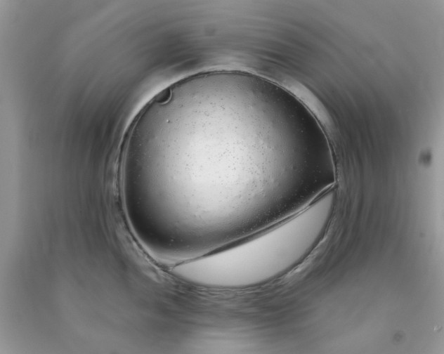 X0000091681052200709061100