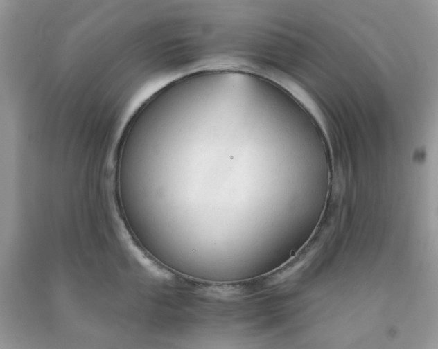 X0000091681053200709061100