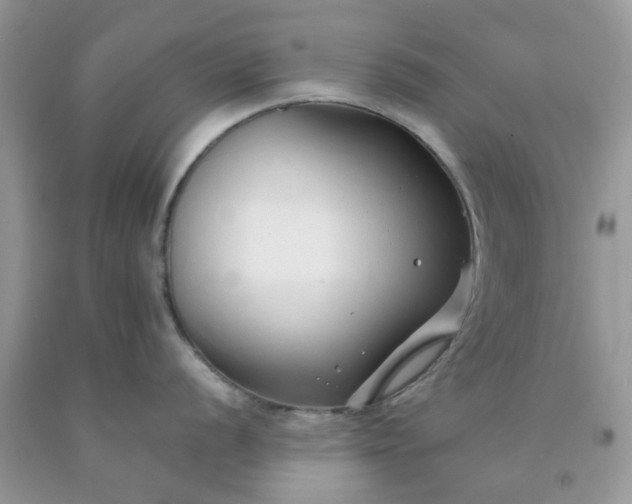 X0000091681056200709061100