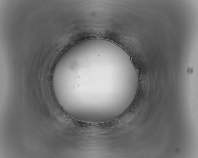 X0000091681057200709061059