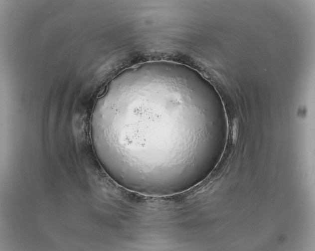 X0000091681059200709061059