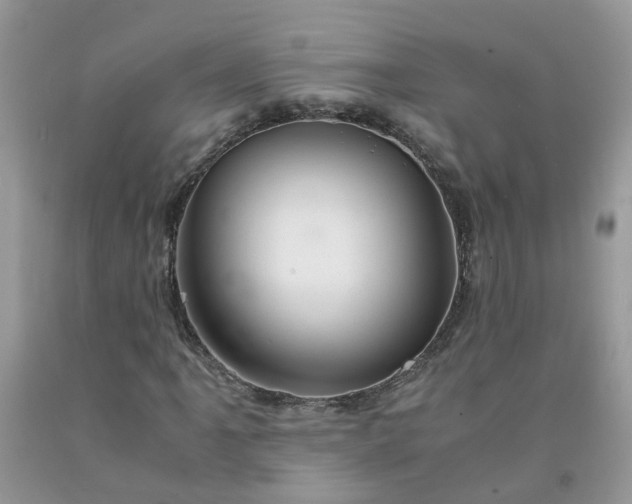 X0000091681061200709061059