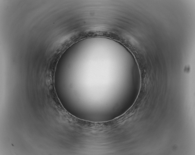 X0000091681062200709061059