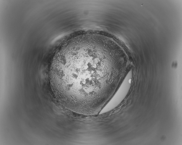 X0000091681063200709061059