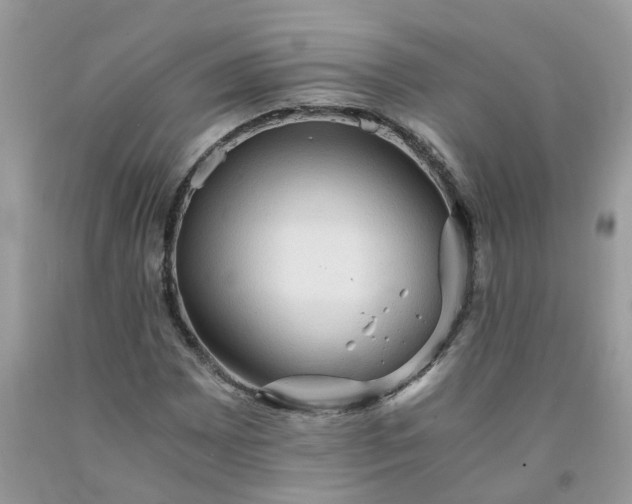 X0000091681065200709061059