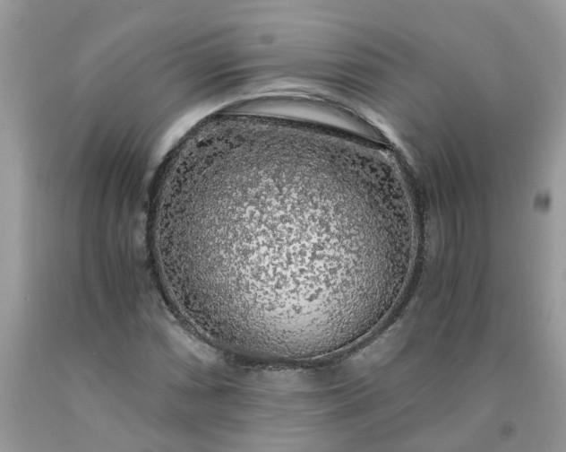X0000091681066200709061059