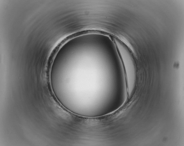X0000091681068200709061059