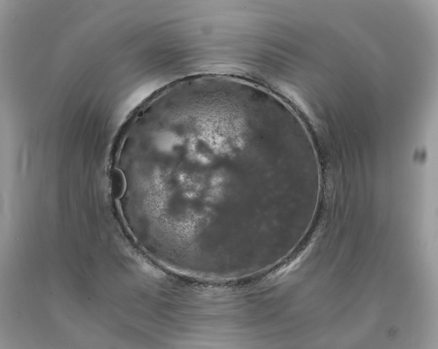 X0000091681071200709061059