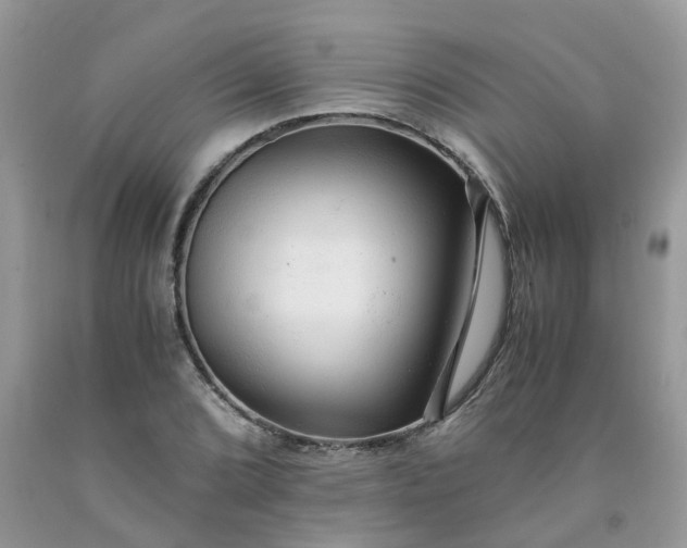 X0000091681072200709061059