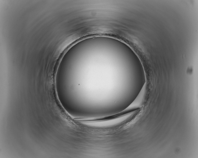 X0000091681073200709061059