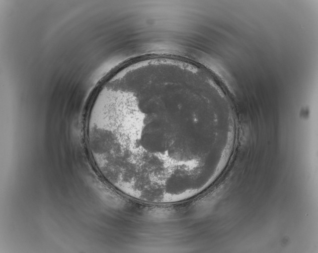 X0000091681074200709061059
