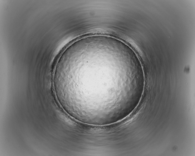 X0000091681075200709061059