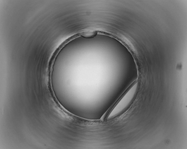 X0000091681076200709061059