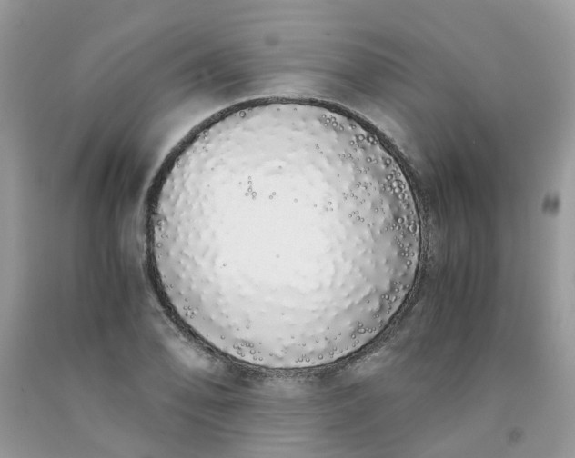 X0000091681078200709061059